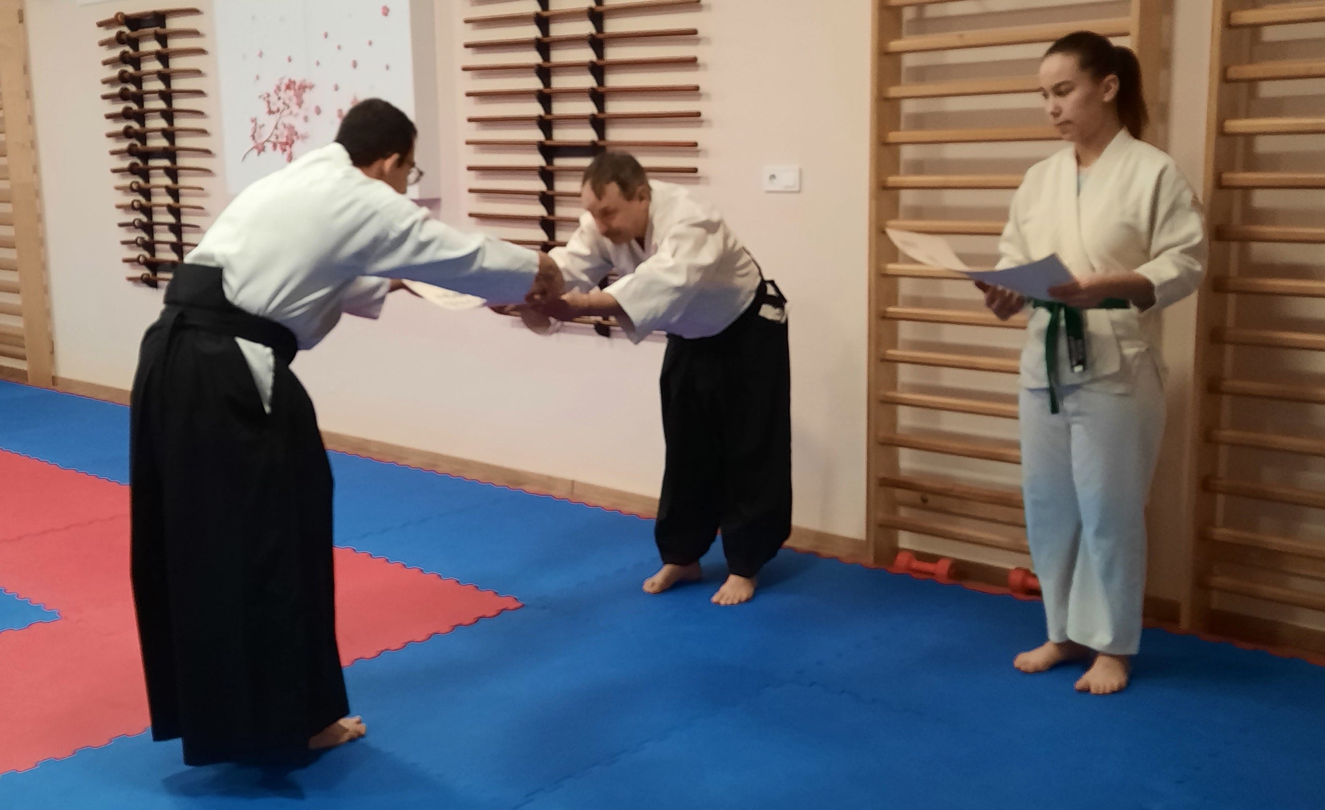 Aikido Békéscsaba diplomák 3